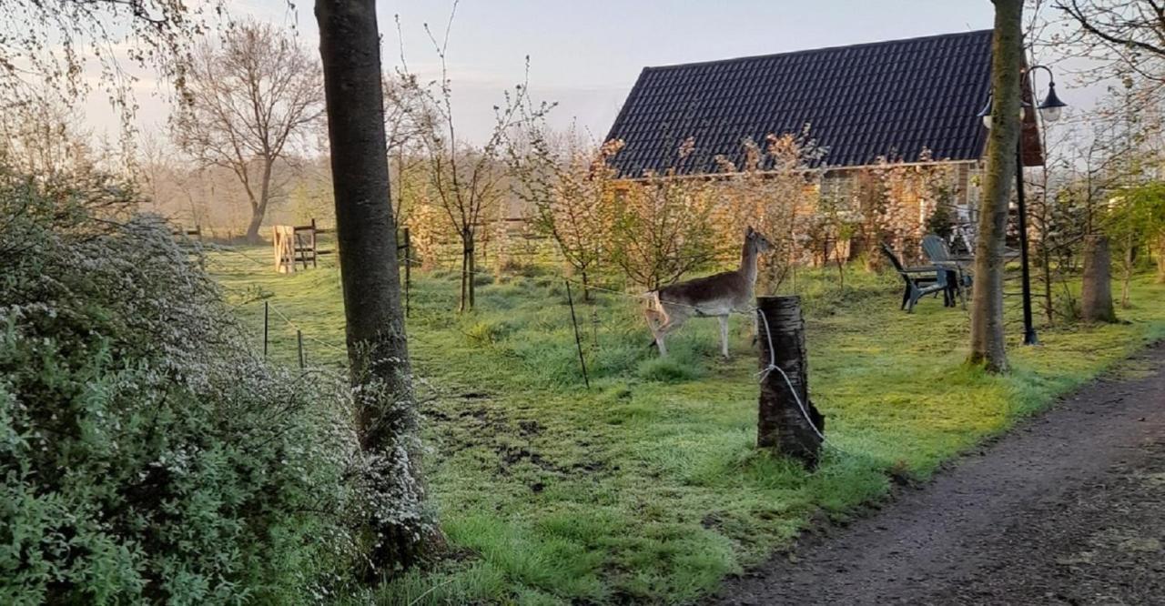 B&B Landgoed Sonneborghe Kollumerzwaag Экстерьер фото